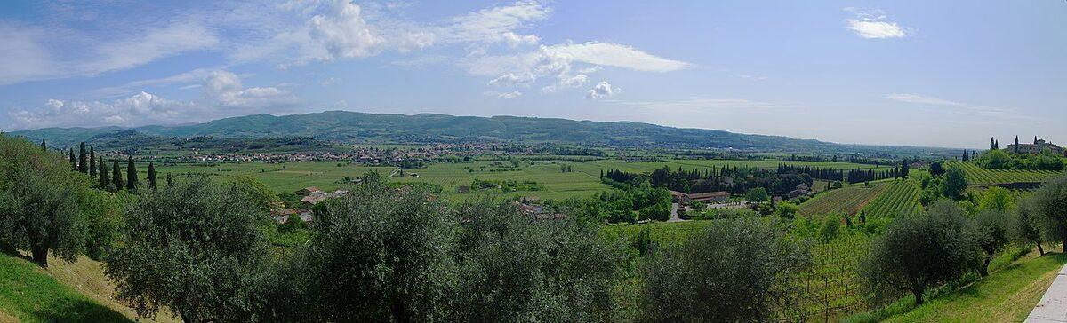Campagna veneta con vigneti