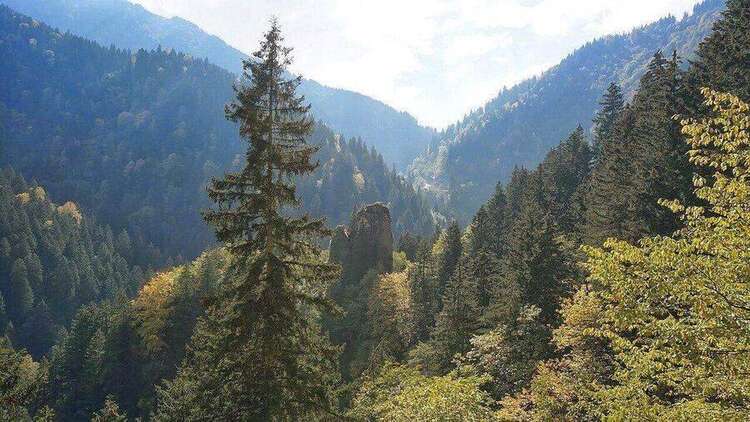 Il Parco Nazionale della Valle di Altindere a Trebisonda